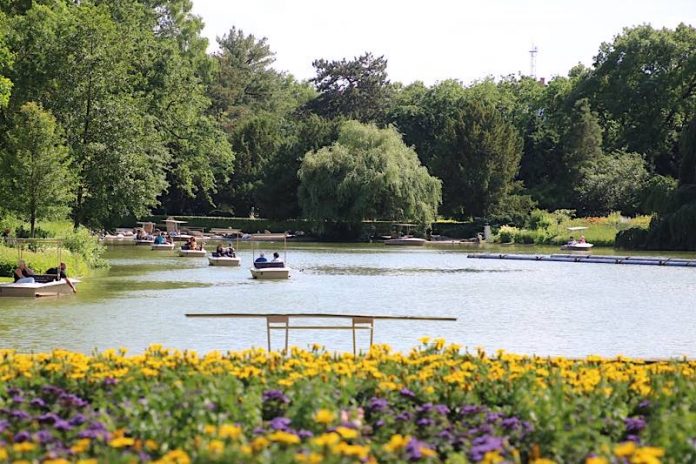 Noch bis zum 6. Oktober sind Fahrten mit den Gondolettas über Stadtgarten- und Schwanensee möglich. (Foto: Timo Deible/Zoo Karlsruhe)