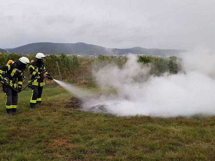 Flächenbrand (Foto: Feuerwehr Neustadt)