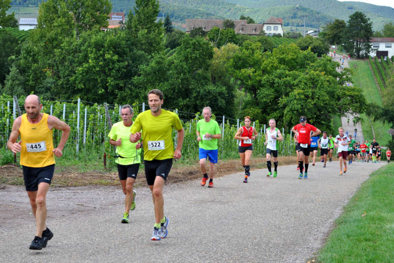 Impression vom Berglauf 2018 (Foto: LCO Edenkoben)