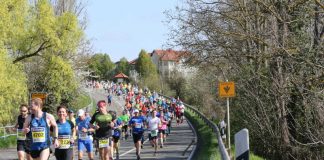 Marathon Deutsche Weinstraße (Foto: Kreisverwaltung Bad Dürkheim)