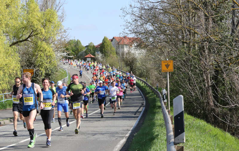 Marathon Deutsche Weinstraße (Foto: Kreisverwaltung Bad Dürkheim)