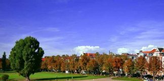 Symbolbild, Stadt, Heidelberg, Neckarwiese _(pxhere)