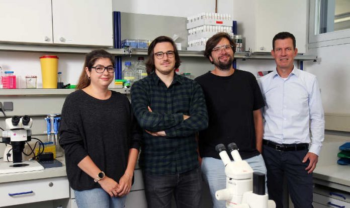 Das Forscherteam (v.l.n.r.): Vanessa Bräuler, Benjamin Escribano, Dominique Siegenthaler und Prof. Dr. Jan Pielage. Das Forscherteam (v.l.n.r.): Vanessa Bräuler, Benjamin Escribano, Dominique Siegenthaler und Prof. Dr. Jan Pielage.