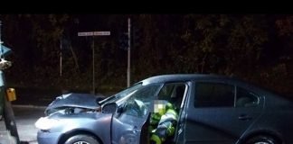 Die Unfallstelle (Foto: Polizei Neustadt)