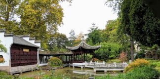 Chinesischer Garten im Bethmannpark (Foto: Umweltdezernat Stadt Frankfurt)