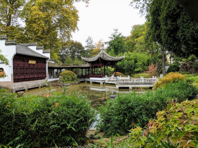 Frankfurt Der Chinesische Garten wieder