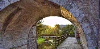 Symbolbild, Brücke, Weg, Wiese, Grünanlage, Wasser, kleiner Tunnel, Morgensonne, Frühjahr, Sommer © on Pixabay