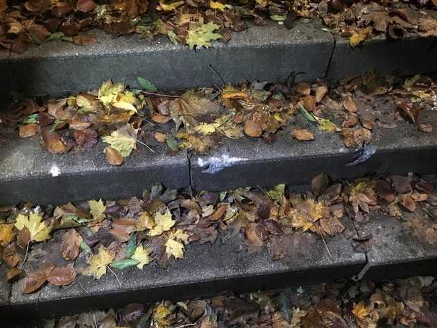 Treppe1