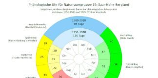 Phaenologie_langjaehrig_NRG19_1951-1980_aktuell