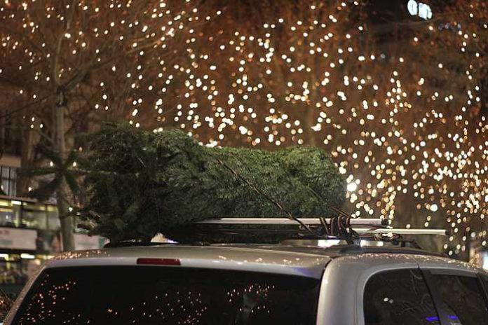 Symbolbild, Weihnachten, Weihnachtsbaum eingepackt, Transport, Autodach (pxhere)