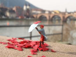 "Wer hat sein Herz in Heidelberg verloren?" (Foto: Augustinum Heidelberg/Susanne Ochs)