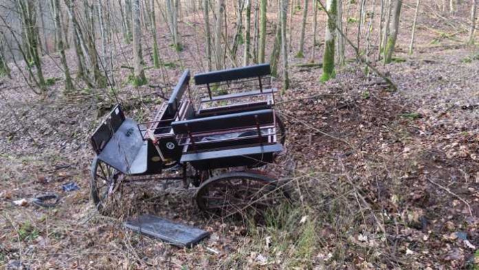 Niederscheld - Zwei junge Frauen verunglücken bei Dillenburg mit ihrer Kutsche.