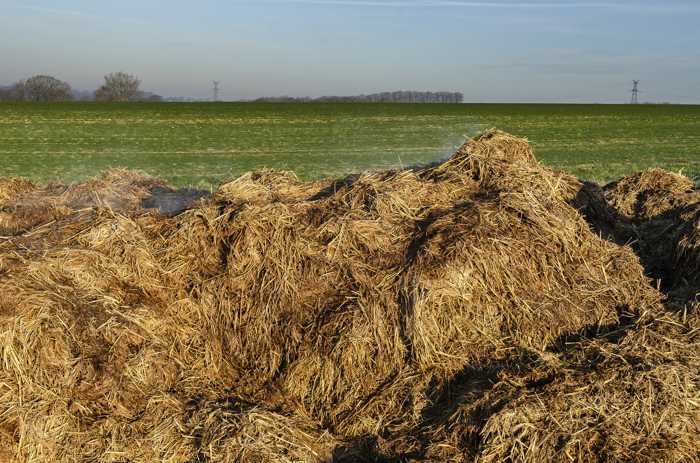 Symbolbild, Stallmist, Kuhmist, Dung, Duenger, Landwirtschaft, freies Gelände © on pixabay