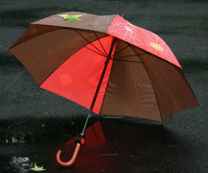 Symbolbild, Wetter, Regenschirm, Herbstfarben, Stockschirm, nass, geöffnet © on Pixabay