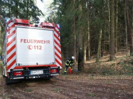 Ein Baum brannte (Foto: Presseteam der Feuerwehr VG Lambrecht)