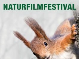 Naturfilmfestival 2020