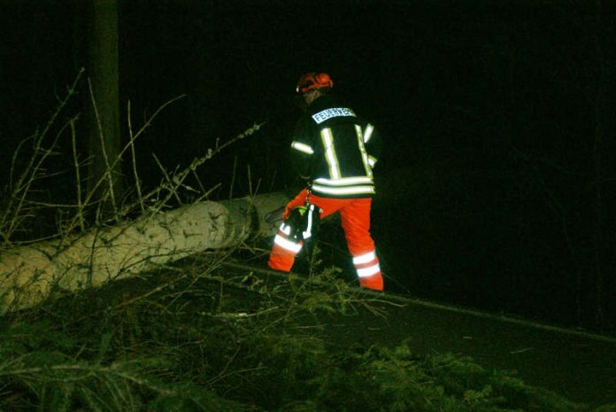Der Baum wurde mittels Motorkettensäge zerkleinert und die Straßen wieder passierbar gemacht. (Foto: Presseteam der Feuerwehr VG Lambrecht)