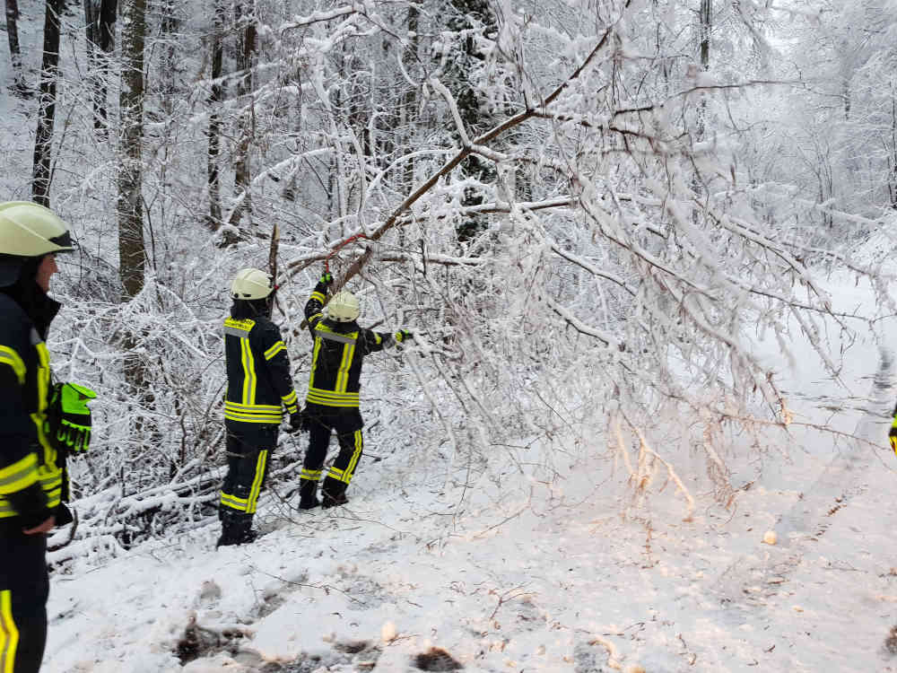 Schneebrucheinsatz auf der K 3 (Foto: Feuerwehr Neustadt)