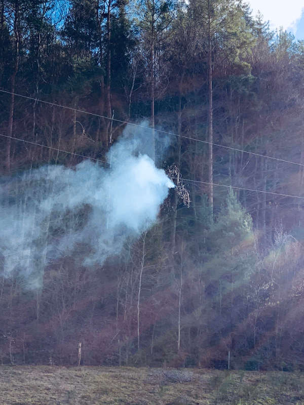 Durch die Stromleitung geriet ein Baum in Brand (Foto: Presseteam der Feuerwehr VG Lambrecht)