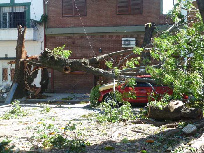 Symbolbild, Sturm, Schaden, Baum, rotes Auto, Autodach (pxhere)