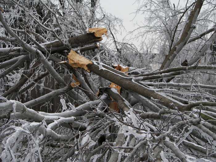 Symbolbild, Wetter, Schnee, Eis, Sturmschaden, kaputte Baumstämme © cplo on Pixabay