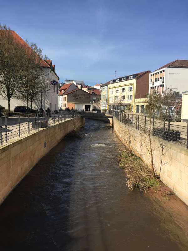 Wird nach 13 Jahren im April erstmals ohne Quietscheentenspektakel verbleiben: das Gewässer der Landauer Queich (Foto: DKSB)