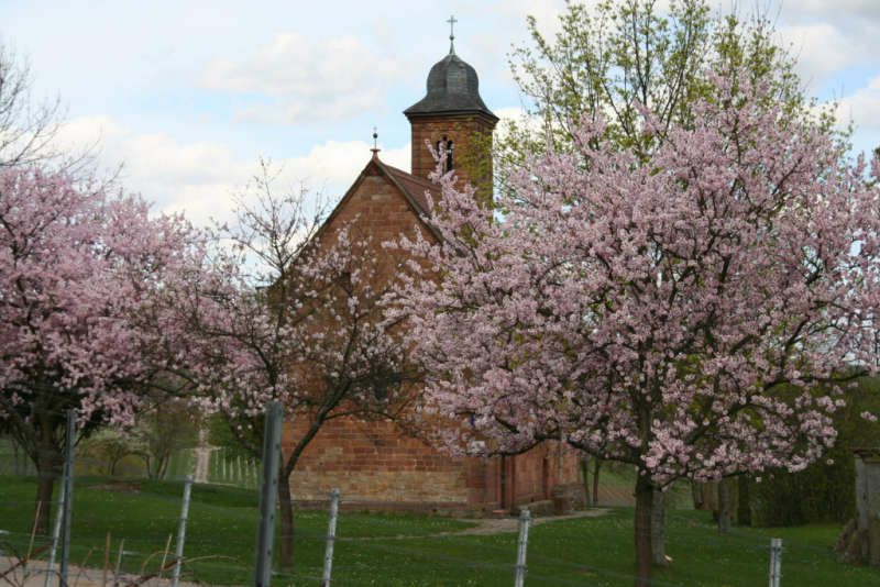 Öffnet später als sonst ihre Türen: Nikolauskapelle bei Klingenmünster (Foto: Christel Flory)