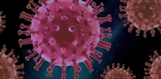 Symbolbild Coronavirus (Foto: Pixabay/PIRO4D)