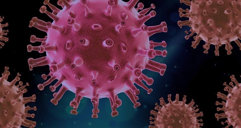 Symbolbild Coronavirus (Foto: Pixabay/PIRO4D)