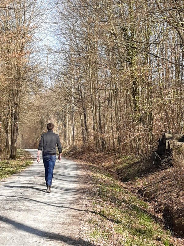 Spaziergang im Wald (Foto: Forst BW)