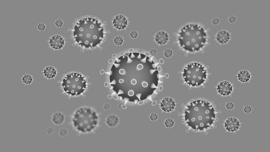 Symbolbild Coronavirus (Foto: Pixabay/iXimus)