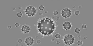 Symbolbild Coronavirus (Foto: Pixabay/iXimus)