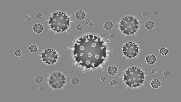 Symbolbild Coronavirus (Foto: Pixabay/iXimus)