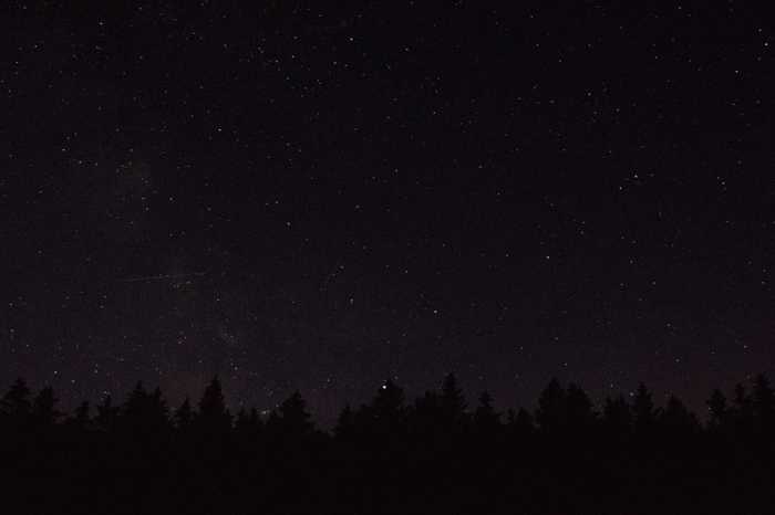 Symbolbild, Himmel, Sterne, Nachts, Waldrand © on Pixabay