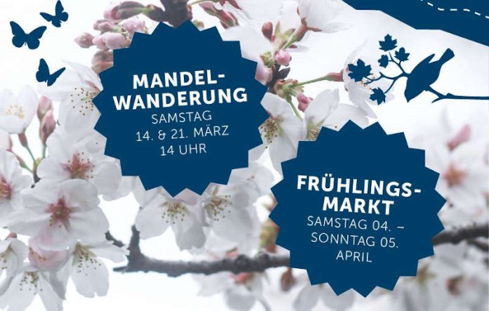 Mandelwanderung (Foto: Winzergenossenschaft Herxheim am Berg)