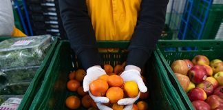 Symbolbild „Gespendete Lebensmittel in der Tafel“ (Foto: Tafel Deutschland e.V./Nikolaus Urban)