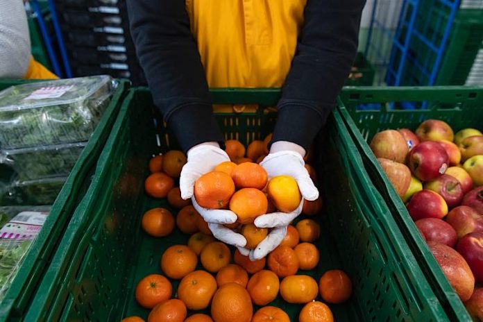 Symbolbild „Gespendete Lebensmittel in der Tafel“ (Foto: Tafel Deutschland e.V./Nikolaus Urban)