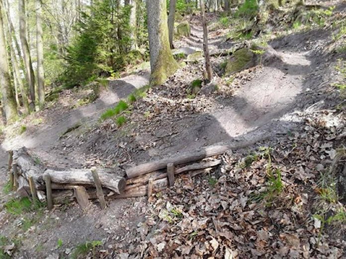 Eine illegale MTB Strecke (Foto: Stadtverwaltung Eberbach)