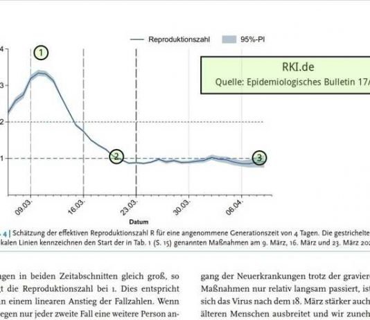 Quelle: RKI - Epidemiologisches Bulletin 17/2020
