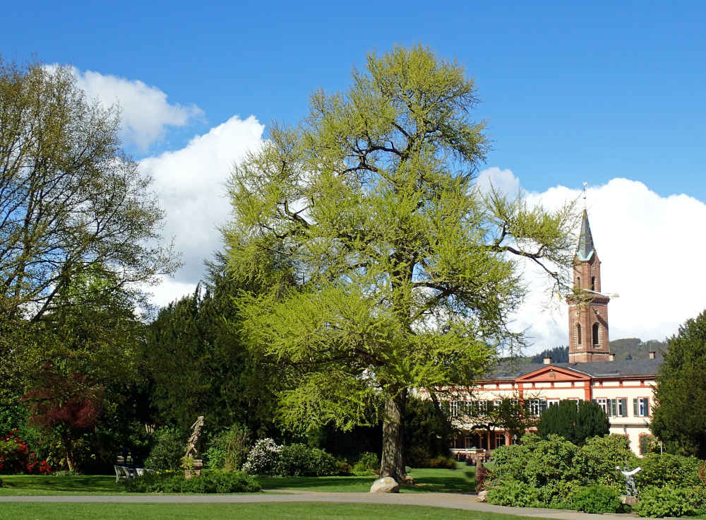 Schlosspark Weinheim (Foto: Ilona Andersen)