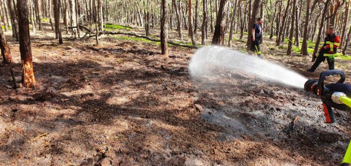 Waldbrand bei Königsbach (Foto: Feuerwehr Neustadt)