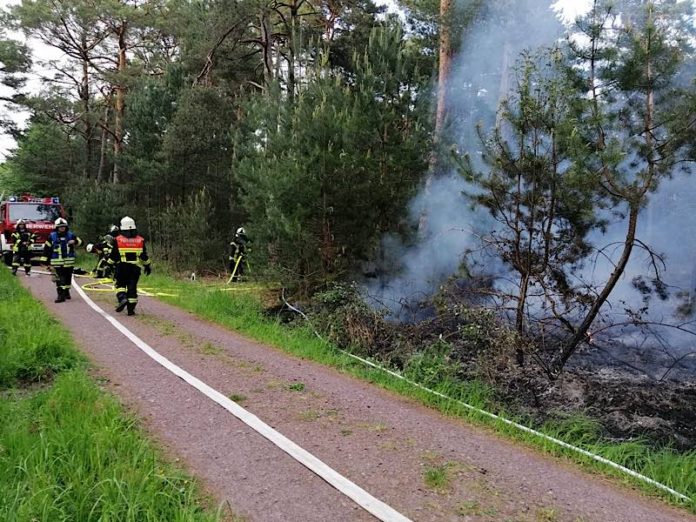 Flächenbrand am Trimm-Dich-Pfad (Foto: Feuerwehr Haßloch)