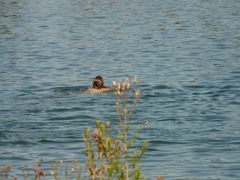 Symbolbild Schwimmen Baggersee See (Foto: Pixabay/Hans Braxmeier)