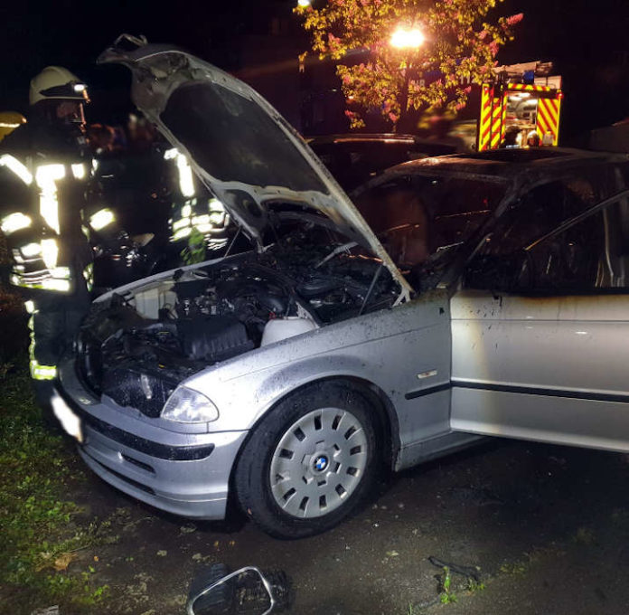 Fahrzeugbrand (Foto: Feuerwehr Neustadt)