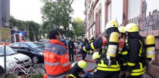 Frankfurt Hamburger-Allee: 9 Katzen von Feuerwehr Frankfurt am Main gerettet