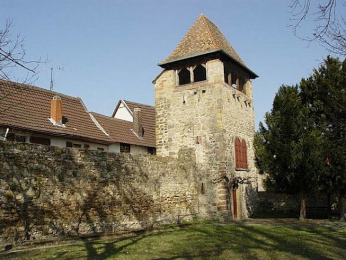 Blick auf die Freinsheimer Stadtmauer