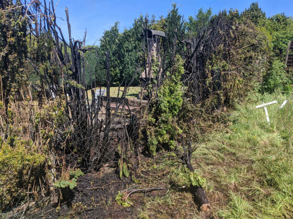 Die Feuerwehr wurde zu einem Flächenbrand alarmiert (Foto: Feuerwehr)