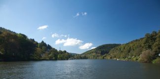 Der Neckar (Foto: Landratsamt Rhein-Neckar-Kreis)