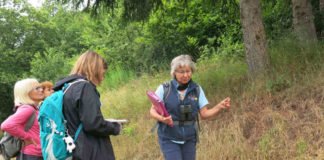 Zeigen die Vielfalt des Biosphärenreservats Pfälzerwald-Nordvogesen: Die Biosphären-Guides, hier Andrea Frech mit einer Gruppe bei Gräfenhausen (Foto: Biosphärenreservat)