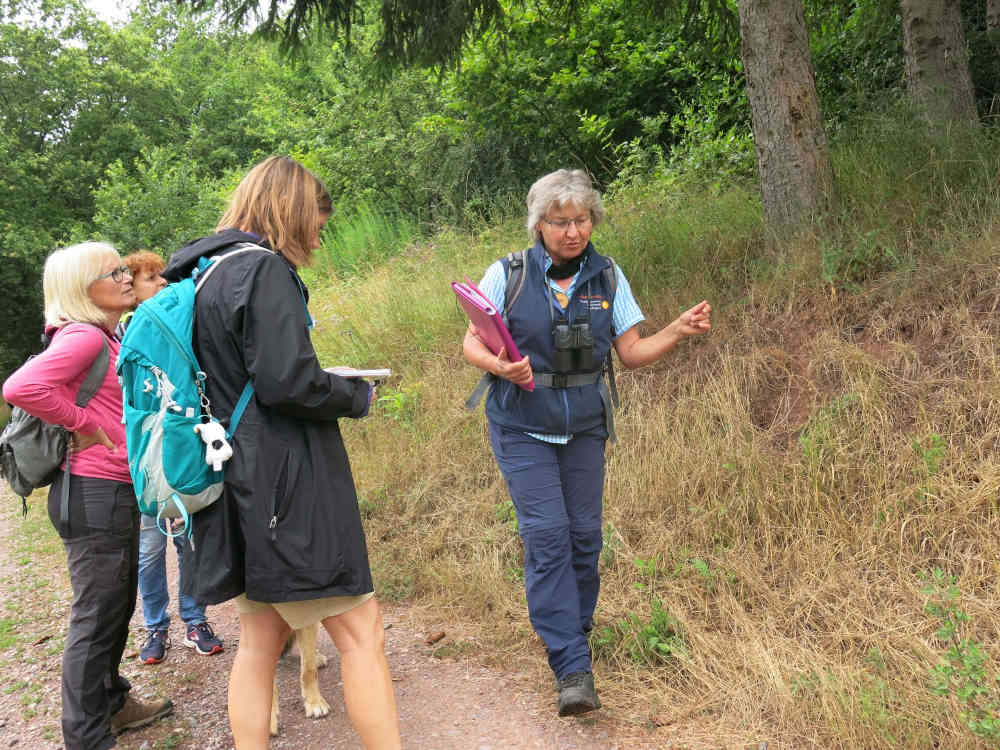 Zeigen die Vielfalt des Biosphärenreservats Pfälzerwald-Nordvogesen: Die Biosphären-Guides, hier Andrea Frech mit einer Gruppe bei Gräfenhausen (Foto: Biosphärenreservat)